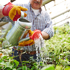 Horticulture Work Gloves